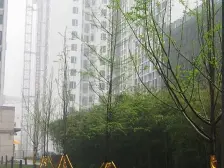 南坪 工贸站 亚太商谷 装修小户型 配套齐全 看房方便