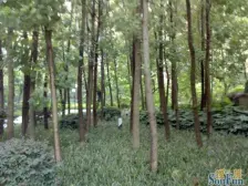 步行街 锦天康都四房105万