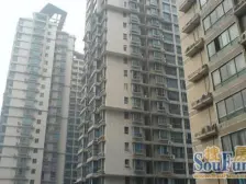 精装修 拎包入住 正规三房双卫