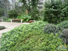 观音桥带阳台的一室一厅 业主急卖