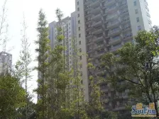 近地铁,电梯房 无抵押 产权清晰,急售房源