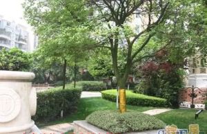 中海名城三期3室2厅南