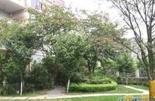 中海名城三期 4室2厅 南 北