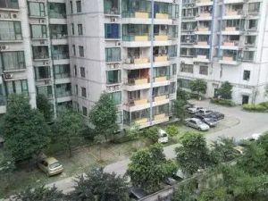 金沙揽胜二期2室2厅南