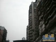 较场口+出门双轻轨+楼下永辉+石灰市菜市场