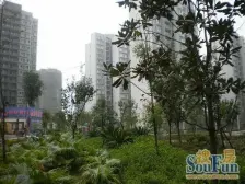 较场口+出门双轻轨+楼下永辉+石灰市菜市场