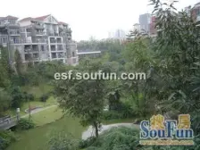 前后中庭 2+1板式洋房 顶跃带露台 南北通透