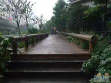 不看后悔!业主血亏房!