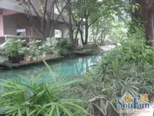 轻轨旁 万象城 正规大三房 业主诚心出售