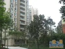 直港 晋愉九龙湾一房