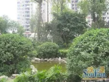 晋愉九龙湾 2室1厅 东南 西南