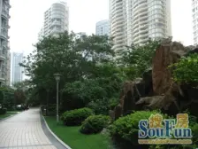 南京西路南北通一房,花园小区人车分流带8000平人工湖