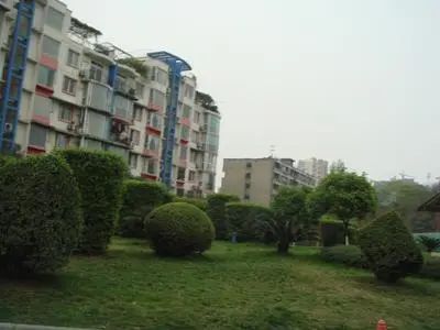 河畔花园实景图