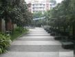 河畔花园实景图