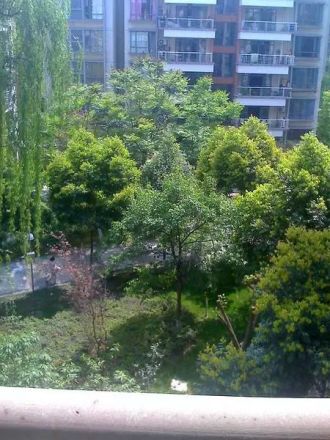 河畔花园实景图