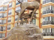 飞天家园B区 小户型 一室一厅 可按揭