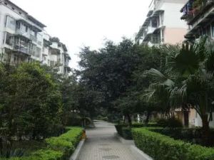 锦西名宅西区4室3厅东南