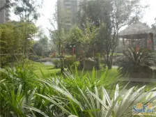 巴国城好位置好配套 带露TAI 精装五房,安静采光足