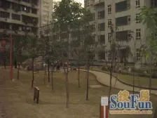 大坪 嘉华鑫城二房105万