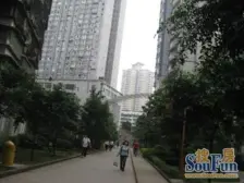 大坪 嘉华鑫城三房148万