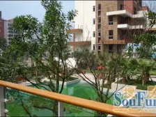 花园洋房,带50平米大露台 近地铁站