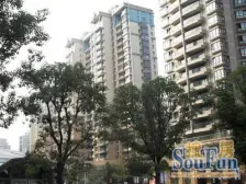 户型正气 小区新 品质好 采光好楼层高