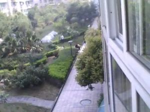 曼哈顿一期 1室2厅 东南