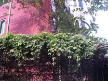 皇城公寓2室2厅东南