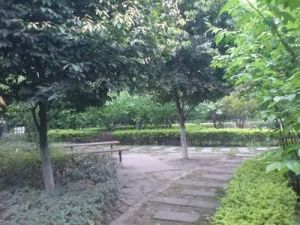 嘉瑞苑一期4室2厅南