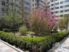 万达大润发 精装修 中间楼层 交通便捷