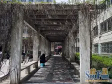 万达大润发 繁华地段 一室一厅 价格面议