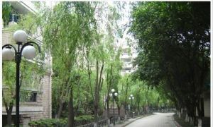 世纪锦苑3室1厅南