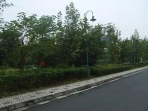 和贵馨城4室2厅南