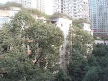 长城园3室1厅西南