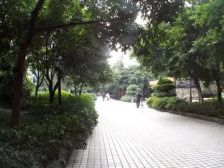 长城园1室1厅东南