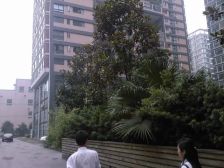 曼哈顿自然派3室2厅南北