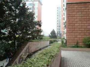 富港花园2室2厅南北