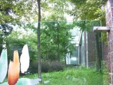 金府花园3室1厅东南南西南东北北西北