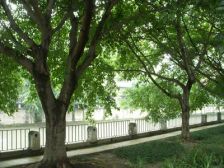 金府花园 3室1厅 东