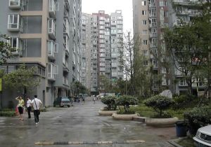 东林城市花园2室1厅西