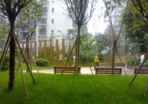 东林城市花园 3室1厅 东