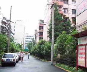临江路8号2室1厅东南