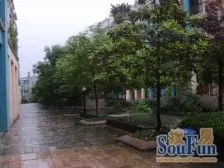 在水一方 2室1厅 东南