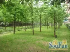 龙溪镇 金岛花园二房