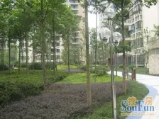 谢家湾 自由左岸一房58万