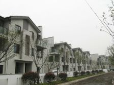 新城盛景B区,出门就是3号口,南临河,一楼大三房