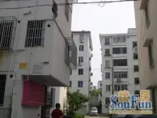 姑苏胥江 解放新村 复式两层 带露台 4室2厅 诚意出售