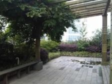 南桥视窗 1室0厅 西