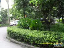 顺通花园 业主急售 看房方便 视野开阔