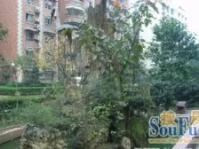 毛线沟 顺通花园二房30万